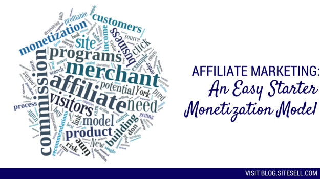Affiliate Marketing: An Easy Starter Monetization Model