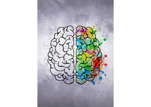 right and left brain illustration