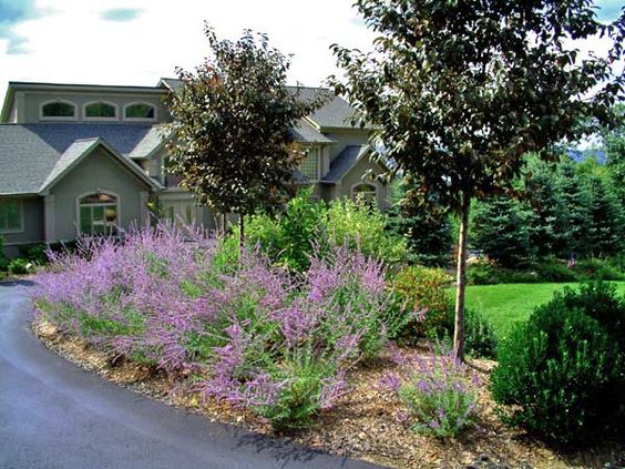 An example of Susan's landscape design work.