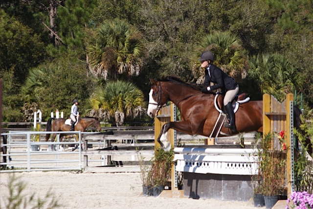 Sydney Jumping