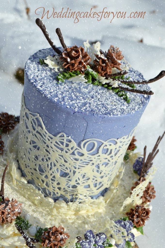 Winter Cake Design - Gorgeous!