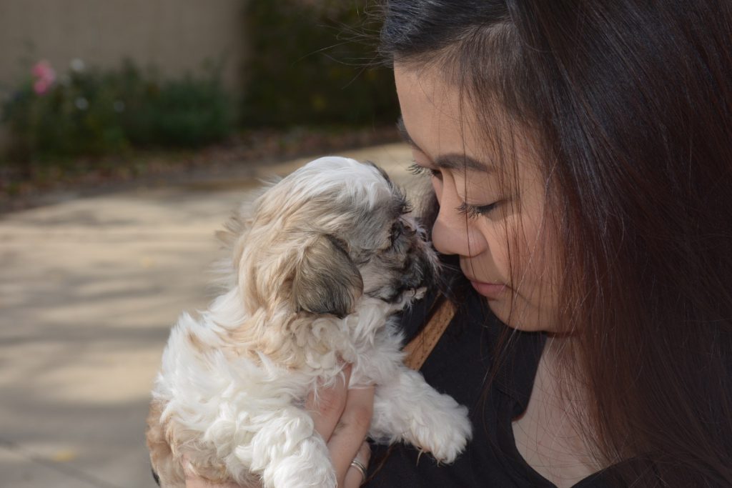 Janice's daughter with one of the puppies.