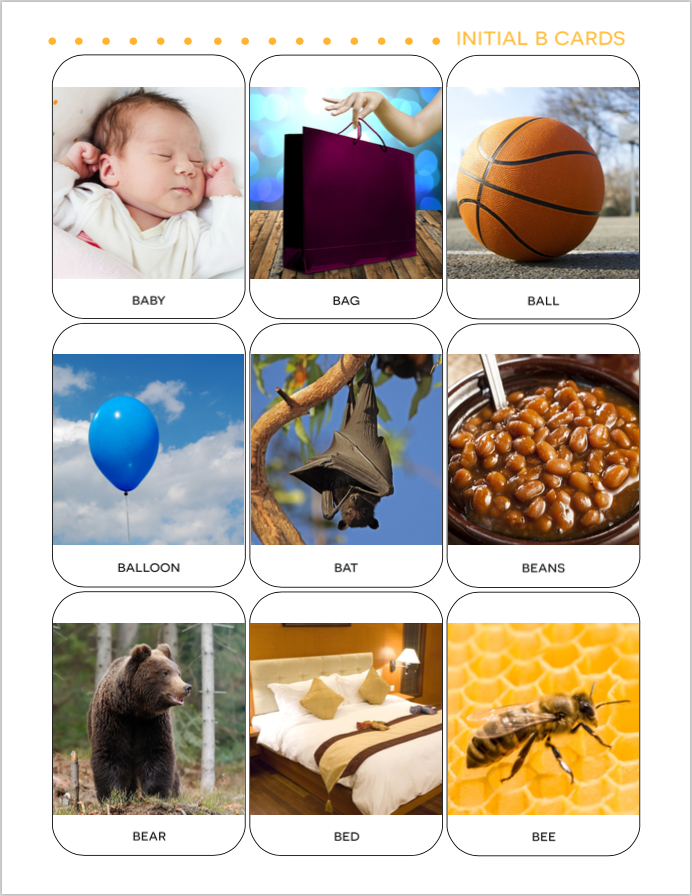 An example of the 23 flashcard sets that Luke sells via the store on his SBI! site.