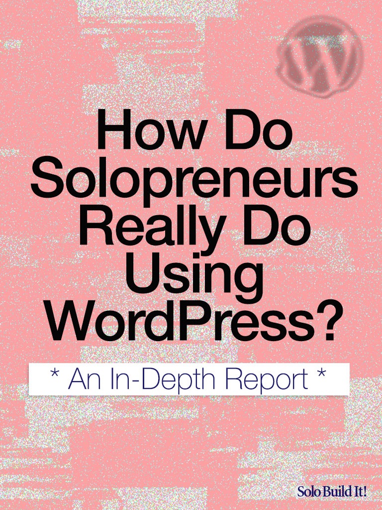 How Do Solopreneurs Really Do Using WordPress? An In-Depth Look.