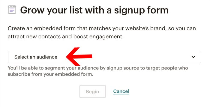 Selecting Audience Mailchimp