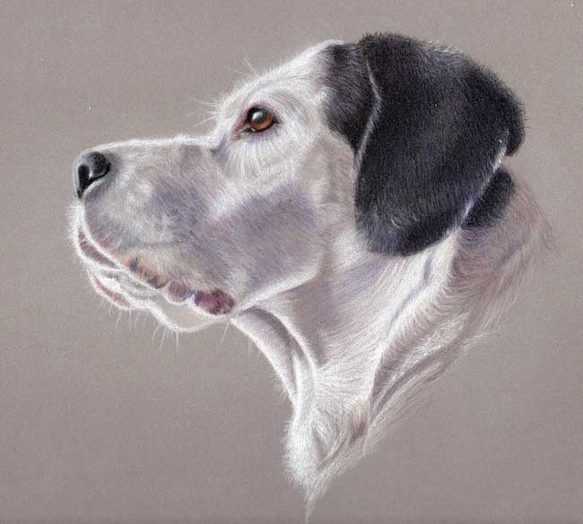 Pet portraits online business idea