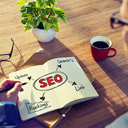 Search engine ranking
