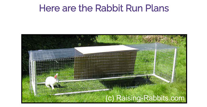 Rabbit Run Cage