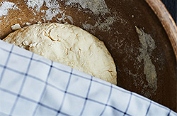 Rising bread dough