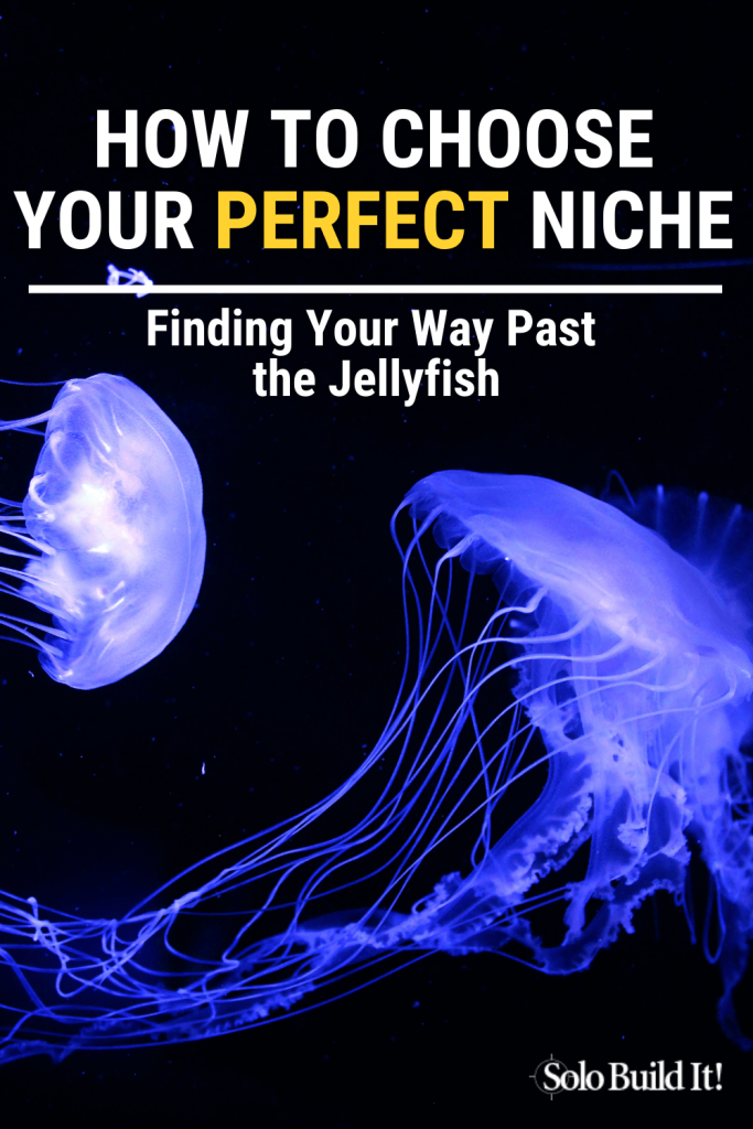 How to a niche