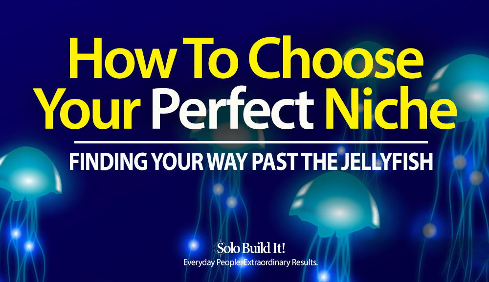 How to Choose Your Perfect Niche
