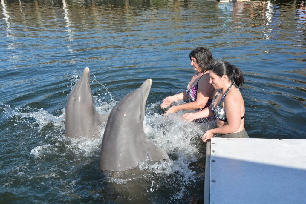 Dolphin encounter with her sister.