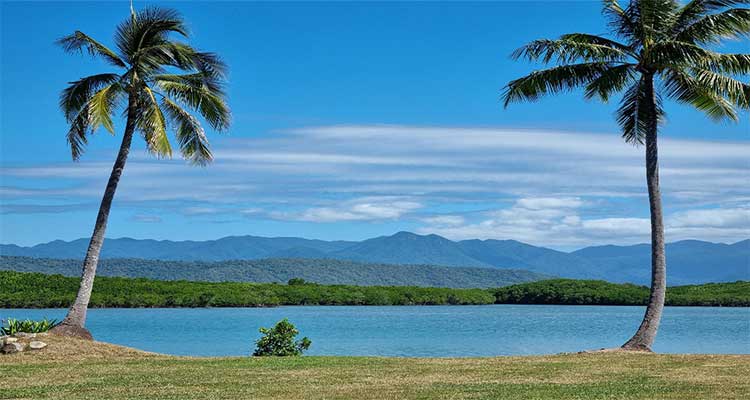 View of mountains, ocean and palm trees.