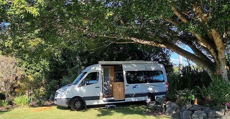 RV camper parked under a tree.