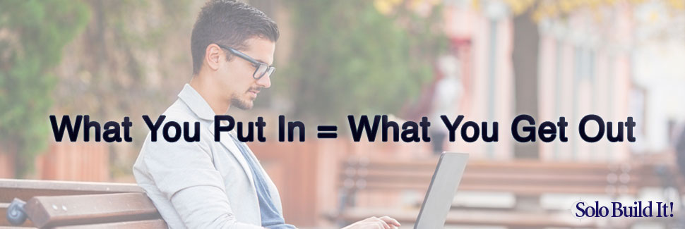 What You Put In = What You Get Out - SiteSell